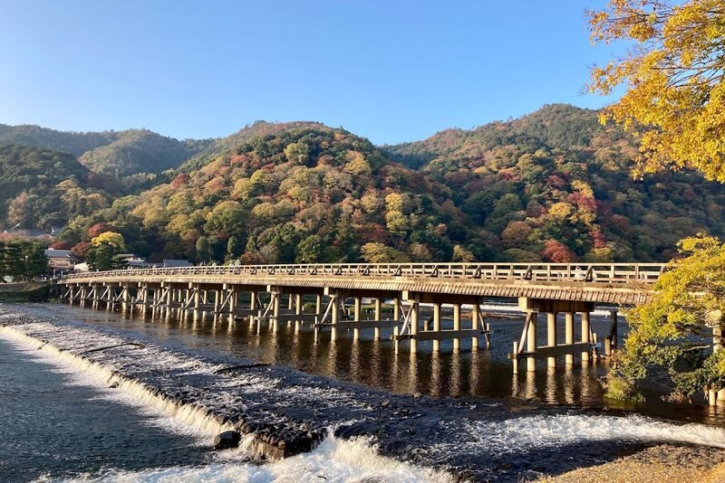 Kyoto & Nara Full-Day Private Guided Tour with Transfers - Lunch, comfort, and the pace between stops