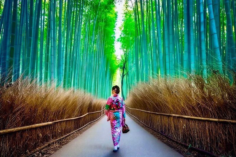Kyoto & Nara Full-Day Private Tour with Customizable Itinerary - At a glance: what to know before booking