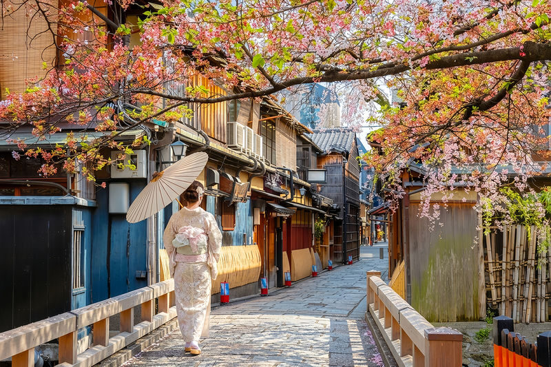 Kyoto & Nara Full-Day Temples & Deer Park Tour - Nara Deer Park: a different kind of stop