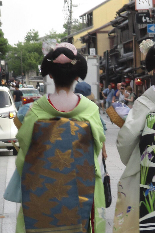 KYOTO-NARA: Giant Buddha Deer Pagoda "Geisya" (Italian, full day) - The Sum Up: Who Should Take This Tour?