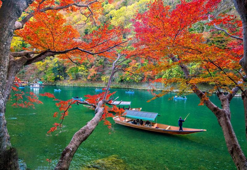 Kyoto & Nara Park & Arashiyama Day Trip (Optional Departure from Osaka or Kyoto) - Three destinations, one day