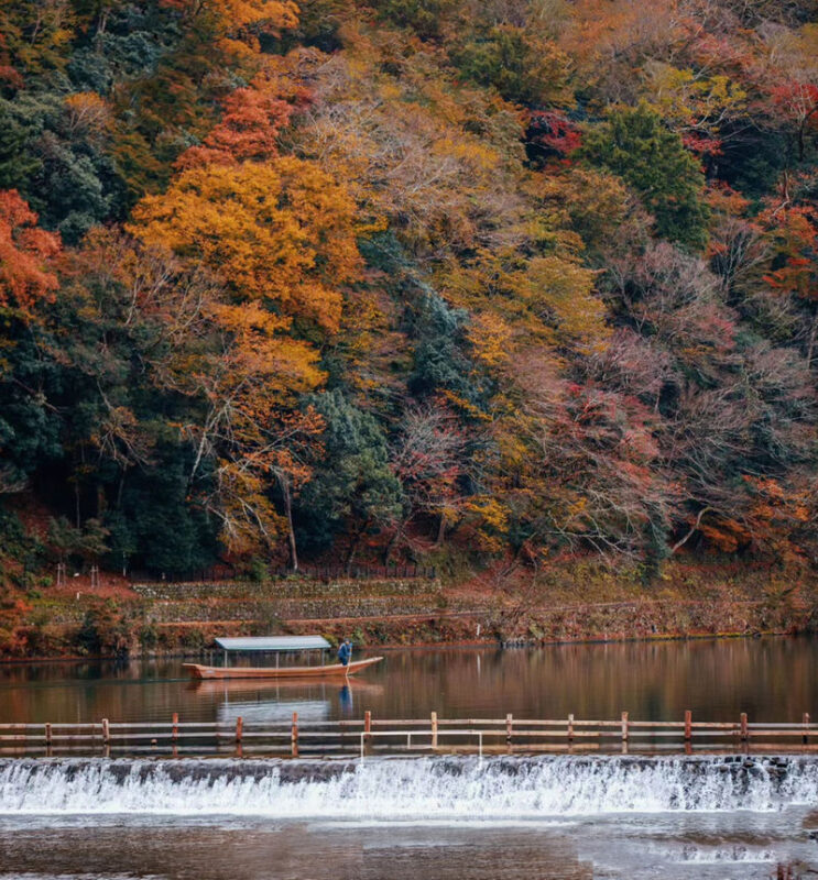 Kyoto & Nara Park & Arashiyama Day Trip (Optional Departure from Osaka or Kyoto) - Is this pace right for you?