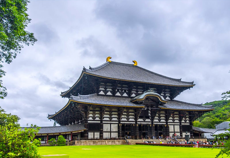 Kyoto & Nara Park & Arashiyama Day Trip (Optional Departure from Osaka or Kyoto) - Should you book this Kyoto and Nara day trip?