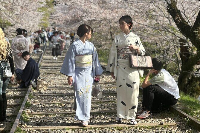 Kyoto-Nara Private Sightseeing Cherry Blossoms Tour With Pick Up - In-Depth Review of the Kyoto-Nara Private Cherry Blossom Tour