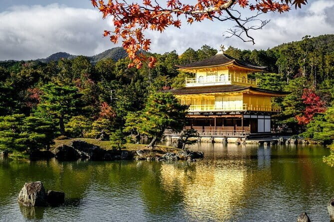 Kyoto & Nara Private Tour from Osaka Kyoto Hotel Pick-up - Who Will Love This Tour?
