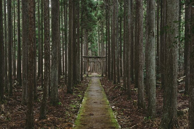 Kyoto & Nara Private Tour from Osaka Kyoto Hotel Pick-up - Final Thoughts