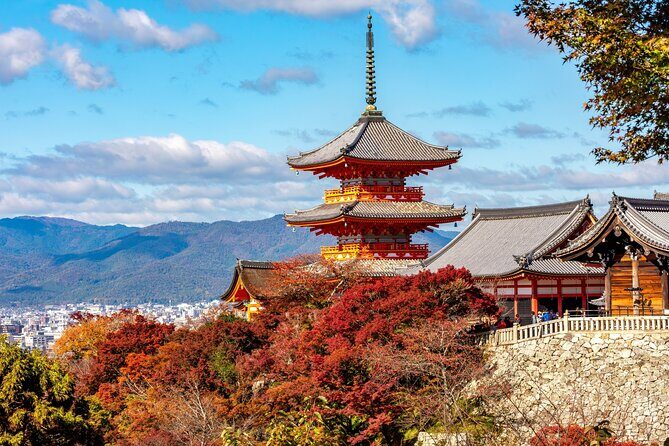 Kyoto & Nara Small Group Day Tour from Kyoto - Key Points