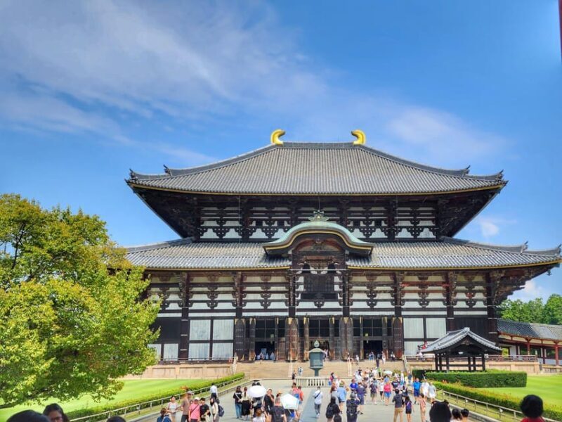 Kyoto: Nara, Todaiji, Kasuga Taisha Shrine Private Full Day - Key Points