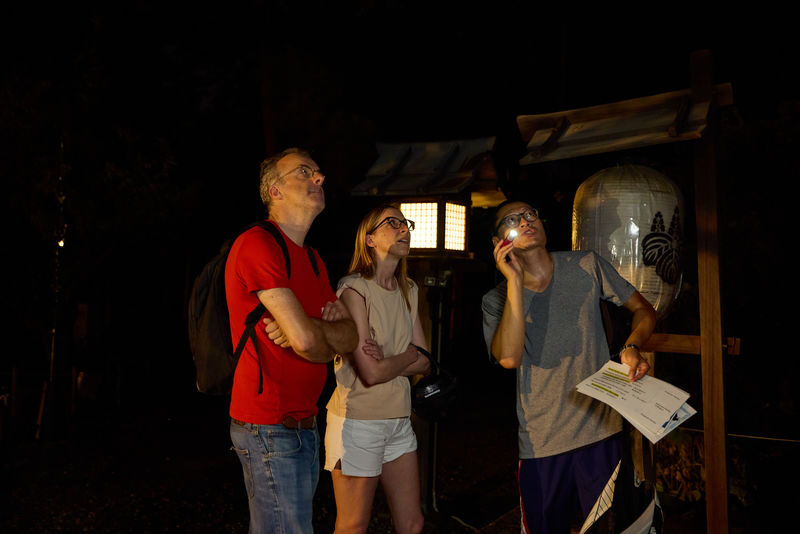 Kyoto Night E-Bike Tour Hidden Gems & Backstreets - Who should book this tour