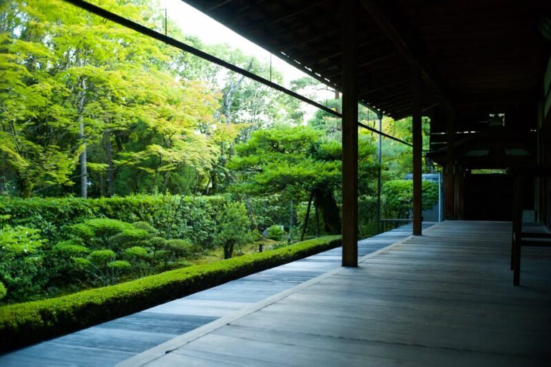 Kyoto: Nighttime Zen Meditation and Matcha Tea Experience - A Deep Dive into the Kyoto Nighttime Zen Meditation and Matcha Tea Experience
