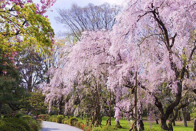 Kyoto: Nijo Castle History Walking Tour World Heritage - Frequently Asked Questions (FAQ)