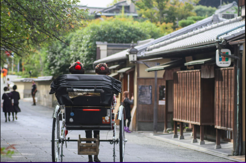 Kyoto One Day Highlight Bus Tour - Five Kyoto highlights, one packed route