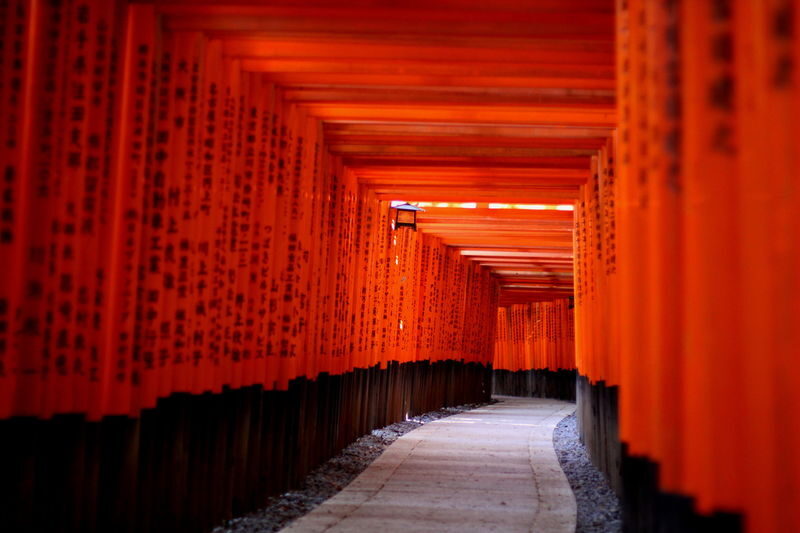 Kyoto One Day Highlight Bus Tour - Starting at Kiyomizu-dera