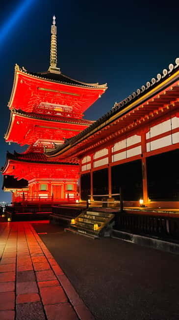 Kyoto-Osaka Customized Kyoto tour with pickup and guide - Who Should Consider This Tour?