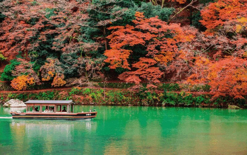Kyoto/Osaka: Kyoto and Nara Customizable Guided Day Trip - Key Points