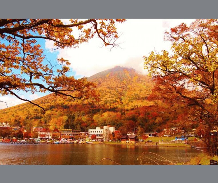 Kyoto/Osaka: Kyoto and Nara Customizable Guided Day Trip - Final Summary