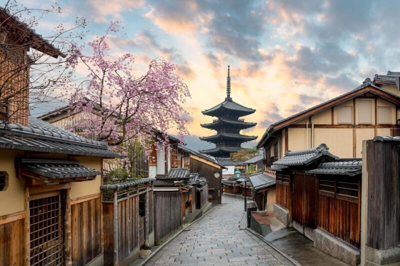 Kyoto/Osaka: Kyoto and Nara Customized Private Guided Tour - Key Points