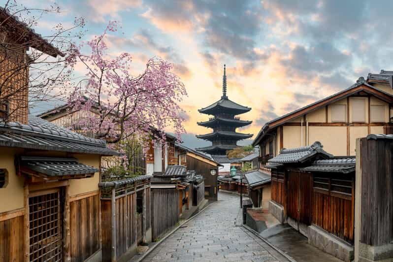 Kyoto/Osaka: Kyoto and Nara Customized Private Guided Tour - A Deep Dive into the Kyoto and Nara Private Tour