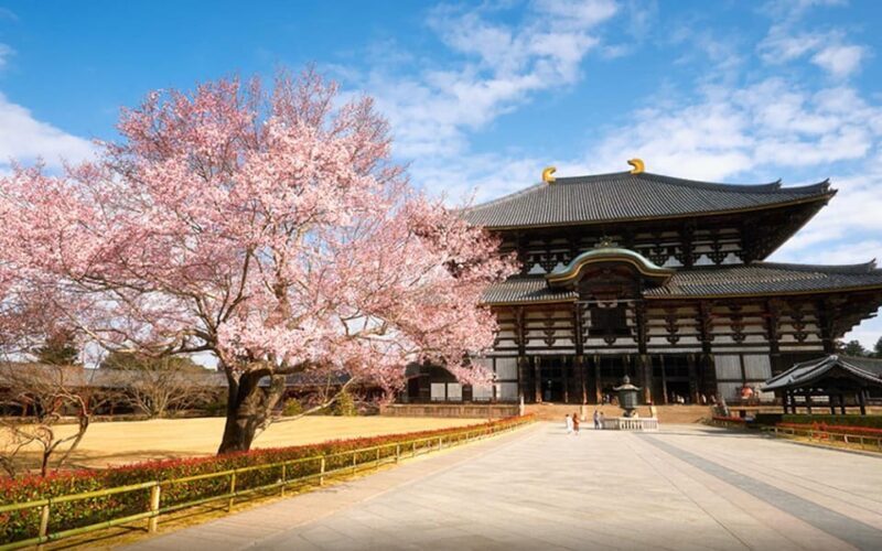 Kyoto/Osaka: Nara Customizable Self-Guided Tour with Driver - Breaking Down the Itinerary