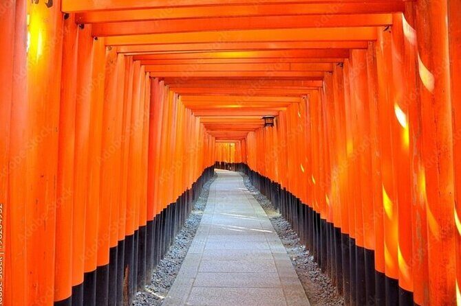 Kyoto, Osaka, Nara Full Day tour by Car English speaking Driver - Authentic Experiences and Practicalities