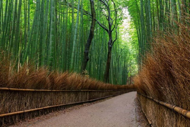 Kyoto/Osaka: Nara, Fushimi Inari Taisha, Arashiyama Bus Tour - Key Points