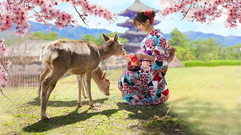 Kyoto/Osaka: Nara, Fushimi Inari Taisha, Arashiyama Bus Tour - Authentic Experiences and What Travelers Say