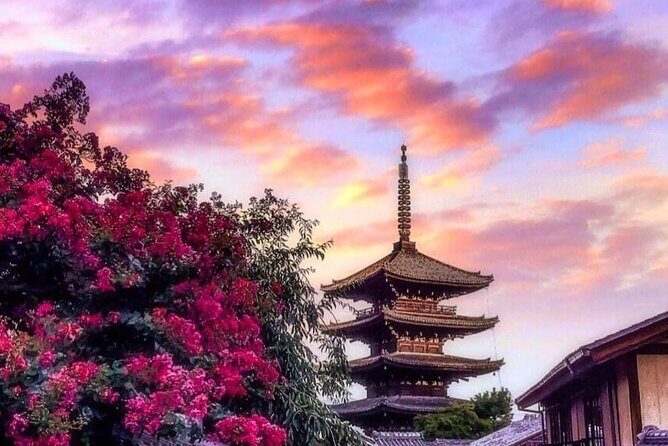 Kyoto, Osaka, Nara Private Tour by Car English Driver Guide - What You Can Expect on the Day