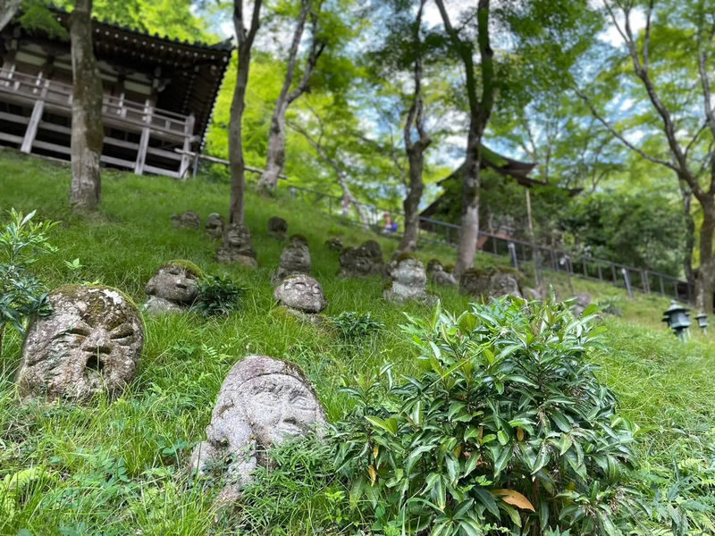 Kyoto Otagi Nenbutsu-ji & Bamboo Forest Half-Day Private Guided Tour - At a glance