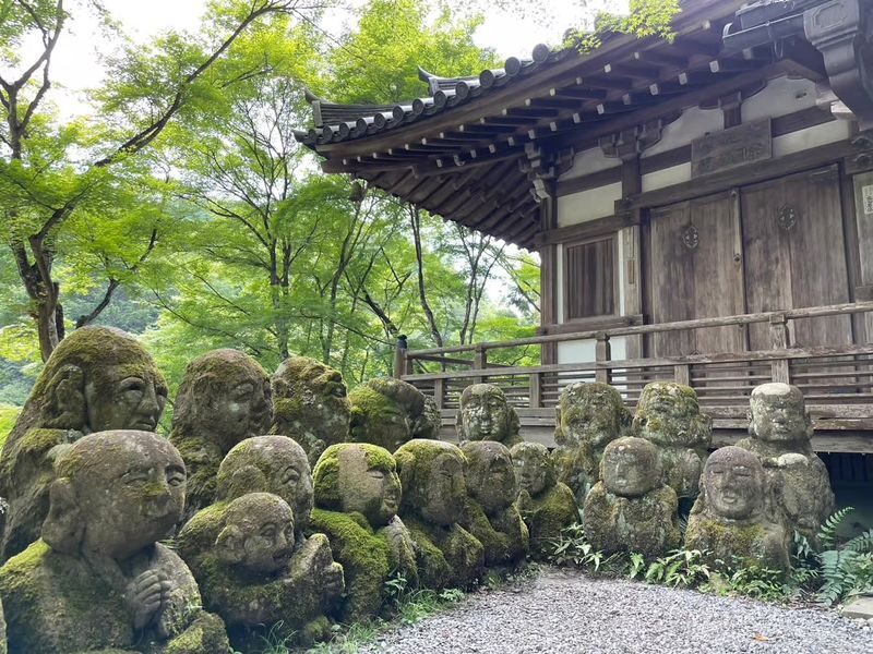 Kyoto Otagi Nenbutsu-ji & Bamboo Forest Half-Day Private Guided Tour - Otagi Nenbutsu-ji makes a quieter first stop