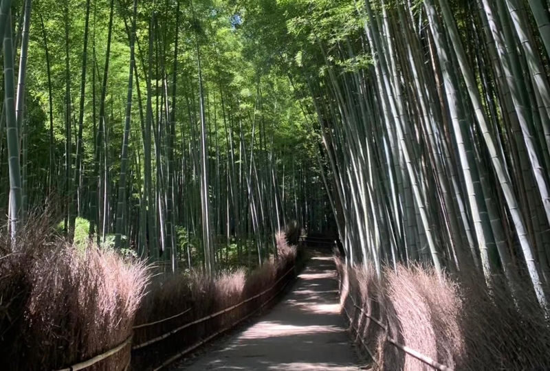 Kyoto Otagi Nenbutsu-ji & Bamboo Forest Half-Day Private Guided Tour - Should you book it?
