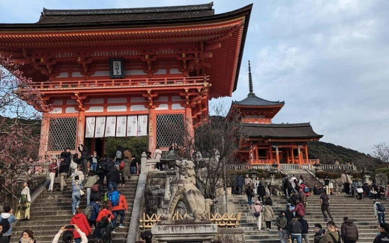 Kyoto: Personalize, private tour (3h, 5h, 8h) [W/Car Option] - Key Points