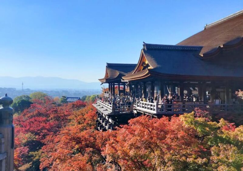 Kyoto: private and customized tour (walking/public transportation) - Kyoto: Private and Customized Tour (Walking/Public Transportation)