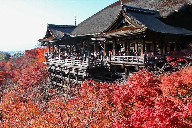 Kyoto Private Car City Tour - Final Thoughts