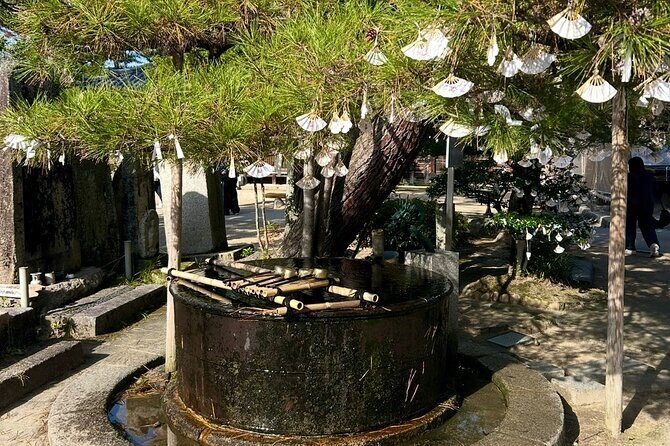 Kyoto Private Car Tour with English Guide Driver (Amanohashidate) - The Cost and What You Get