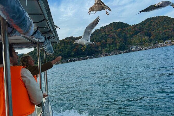 Kyoto Private Car Tour with English Guide Driver (Amanohashidate) - The Itinerary in Detail