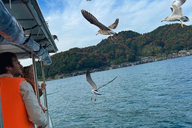 Kyoto Private Car Tour with English Guide Driver (Amanohashidate) - Who Should Consider This Tour?