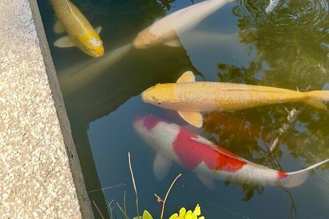 Kyoto Private Car Tour with English Guide Driver (Amanohashidate) - FAQs