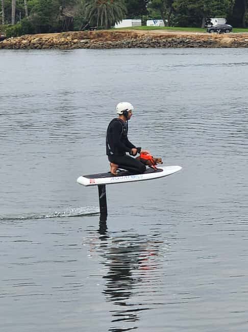 Kyoto Private Car Tour with Japanese Navigator (+Nara) T5 - FAQ