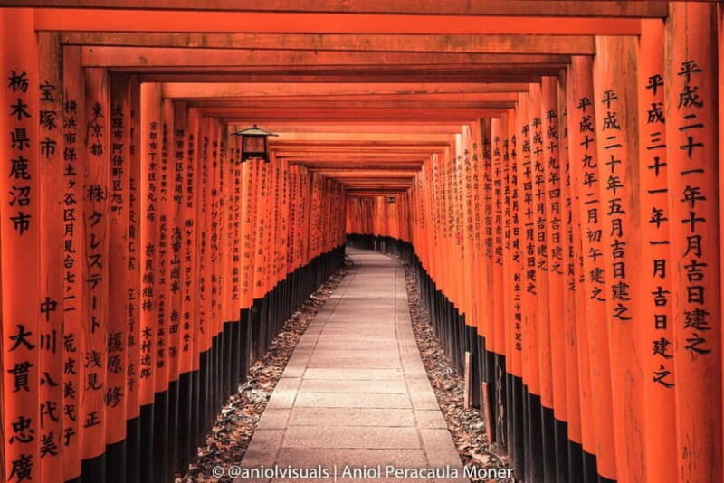 Kyoto: Private Customizable Day Tour with Guide and Vehicle - Key Points