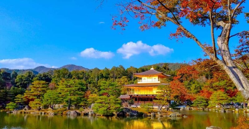 Kyoto: Private Customizable Day Trip by Car - Exploring Kyoto in Style and Comfort