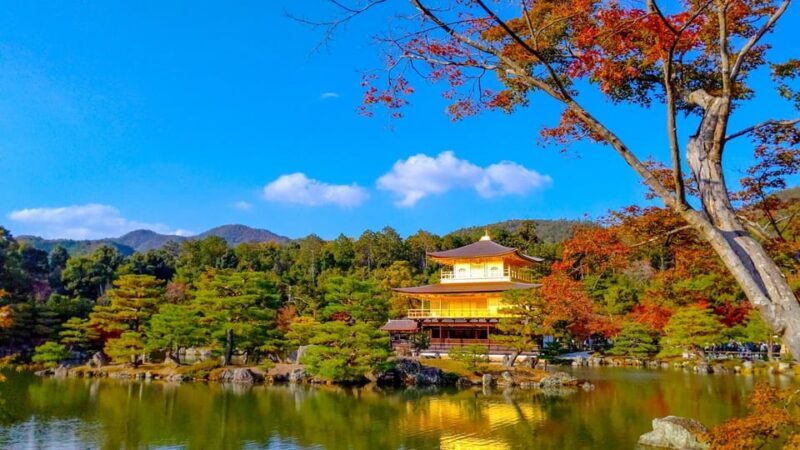Kyoto: Private Customizable Day Trip by Car - Why This Tour Offers Great Value