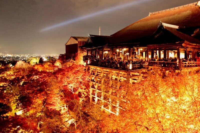 Kyoto: Private Customizable Day Trip by Car - Who Will Love This Tour?