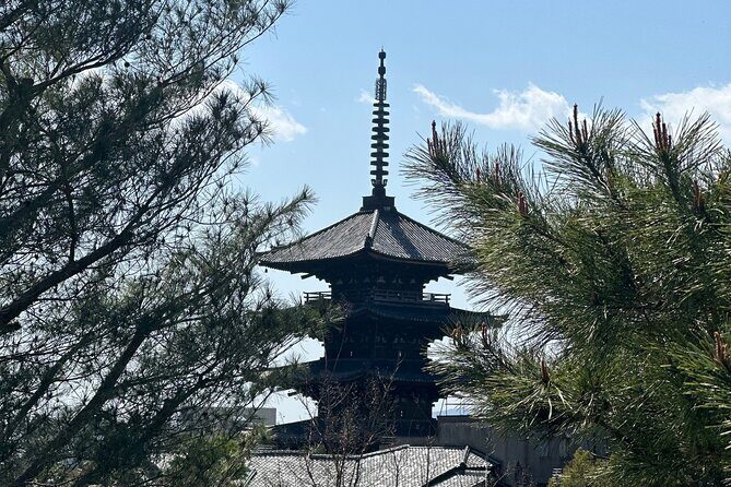 Kyoto Private Customizable Day Trip With English chauffeur - Who Will Love This Tour?