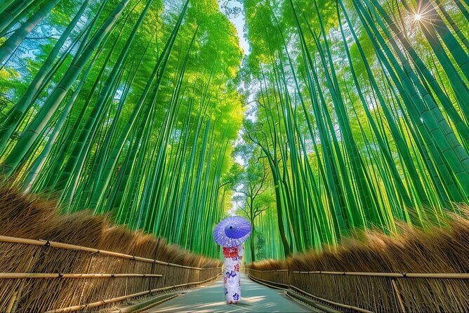 Kyoto Private Customized Day Tour with Guide - Key Points