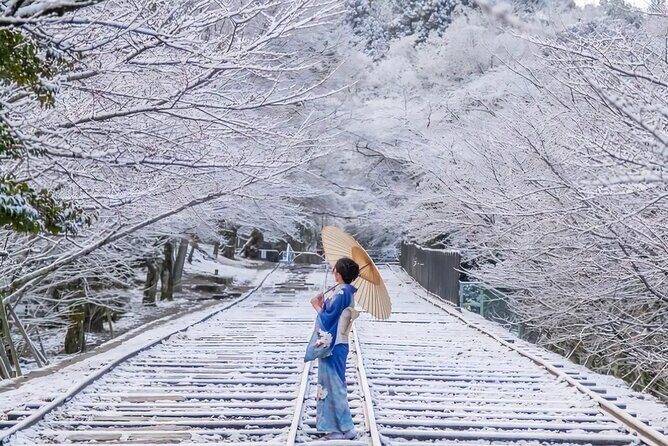 Kyoto Private Customized Day Tour with Guide - The Experience: A Detailed Look at the Itinerary