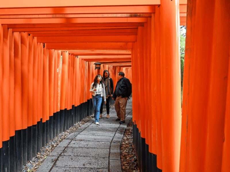 Kyoto: Private Customized Walking Tour with a Local Insider - Key Points