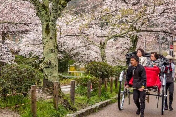 Kyoto Private Day Tour: Temples, Gardens & Cultural Experience - FAQ