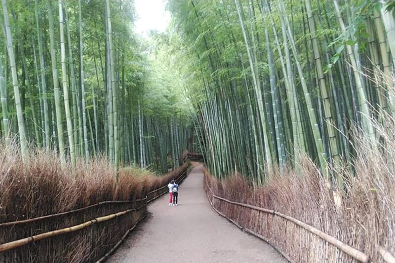 Kyoto: Private Full-Day Early Riser Platinum Walking Tour - Who Will Love This Tour?