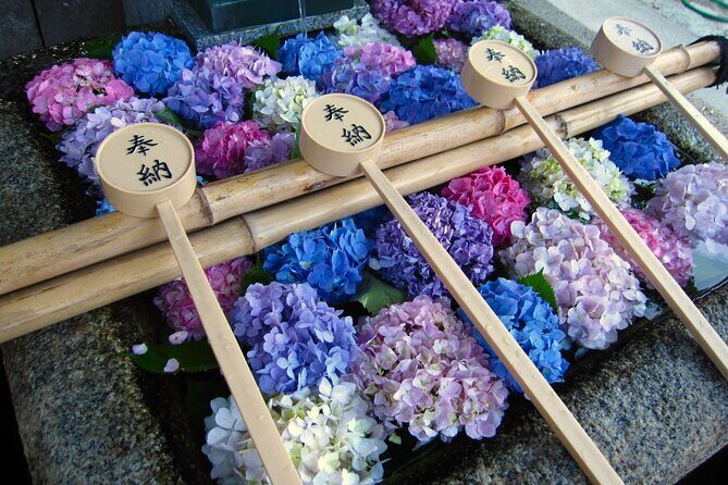 Kyoto Private Hydrangea Tour by Car and Rail - What to Expect from the Kyoto Hydrangea Tour