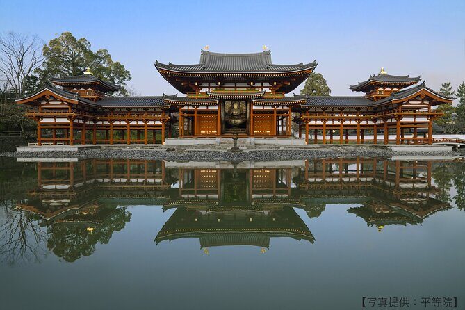 Kyoto Private Hydrangea Tour by Car and Rail - Who Should Consider This Tour?